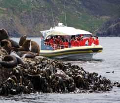 of Kettering, drive onto the ferry for the crossing to Bruny Island l Savour a delicious morning tea upon arrival at Adventure Bay, Bruny Island l Board a custom-designed yellow boat, ideal for the