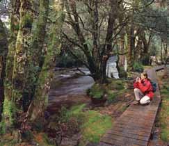 l Travel through green pastures South West of Launceston l Mountains of the Great Western Tiers guide you towards Cradle Mountain National Park l Pass quaint and historical towns of Carrick, Hagley