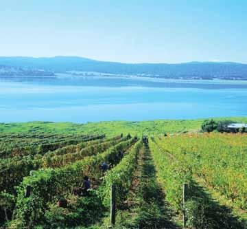 30pm May 1 to Sept 30 Fare Includes: Coach touring. Tour the highlights of Launceston then take in the pleasures of the delectable and storybook Tamar Valley.