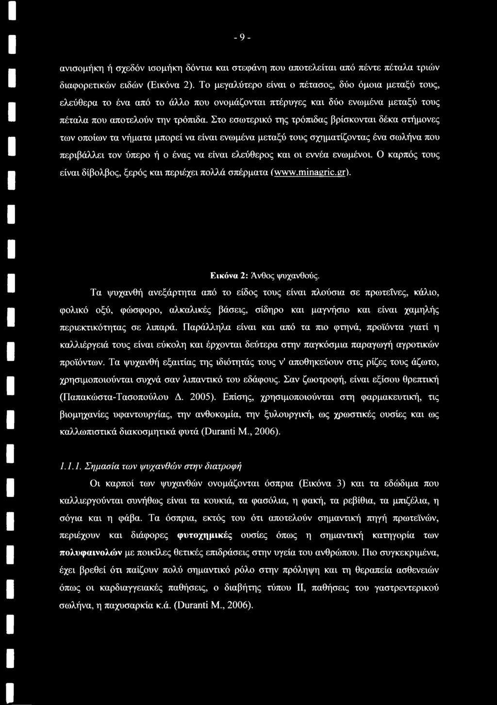 Στο εσωτερικό της τρόπιδας βρίσκονται δέκα στήμονες των οποίων τα νήματα μπορεί να είναι ενωμένα μεταξύ τους σχηματίζοντας ένα σωλήνα που περιβάλλει τον ύπερο ή ο ένας να είναι ελεύθερος και οι εννέα