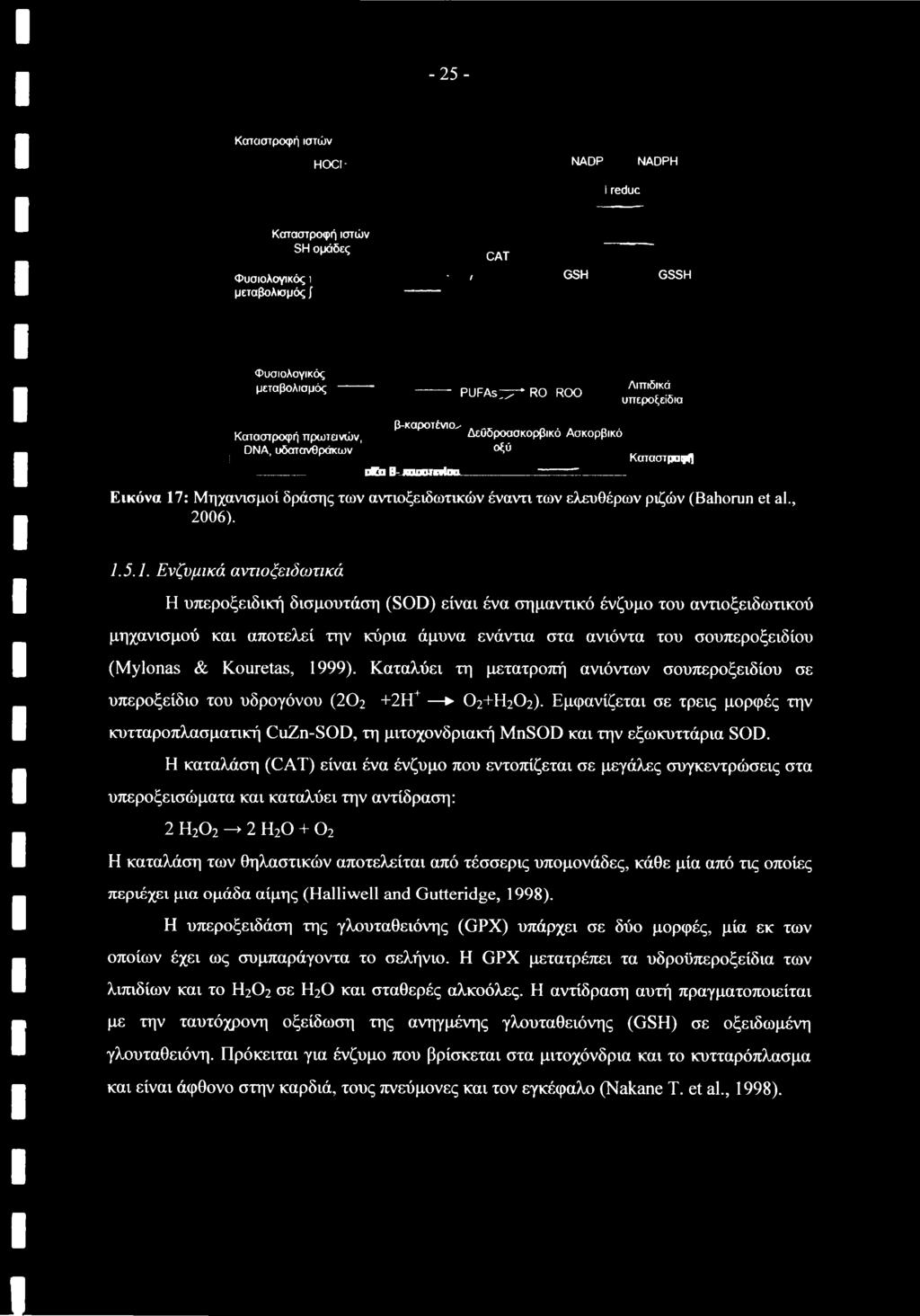 1. Ενζυμικά αντιοξειδωτικά Η υπεροξειδική δισμουτάση (SOD) είναι ένα σημαντικό ένζυμο του αντιοξειδωτικού μηχανισμού και αποτελεί την κύρια άμυνα ενάντια στα ανιόντα του σουπεροξειδίου (Mylonas &