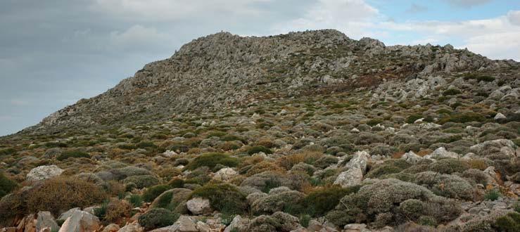 Προς τα δυτικά και μέχρι τον συμπαγή όγκο των Σητειακών βουνών εκτείνεται το μεσόγειο βύθισμα της Πάνω Ζάκρου. Αυτή η λοφώδης ζώνη είναι η πλέον εύφορη της ευρύτερης περιοχής.