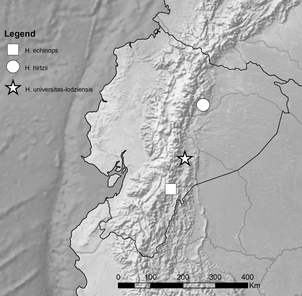 Fig. 3. Distribution of Heteranthocidium universitas-lodziensis, H. echinops and H. hirtzii in Ecuador. the total lip length (vs.