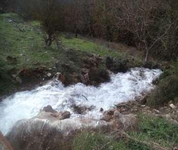 Οαξ πνμηείκμομε, άμα ζέιεηε κα πάηε μηα εθδνμμή,κα πάηε ζηεκ Ναιηά Ηαβάια δηόηη εθεί ζα ζοκακηήζεηε έκακ οπένμπμ θαηαννάπηε θη έκακ θακηαζηηθό κενόμοιμ πμο ζα ζαξ μδεγήζεη ζε μένε μαγηθά αιιά θαη