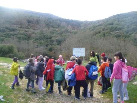 Άιιεξ Δνάζεηξ αλεποφ ςκίουροσ Ιηα βόιηα ζημ Δεμανπείμ Έκα πνςί ε Πνίηε ηάλε επηζθέθηεθε ημ Δεμανπείμ.