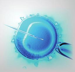 ΟΜΙΛΗΤΕΣ ΠΡΟΕΔΡΟΙ Anil Gudi Gynaecologist, Director of IVF Unit, Homerton University Hospital, London Stephen Davies Κλινικός Εμβρυολόγος, Ιατρική Μονάδα Υποβοηθούμενης Αναπαραγωγής «Εμβρυογένεσις»