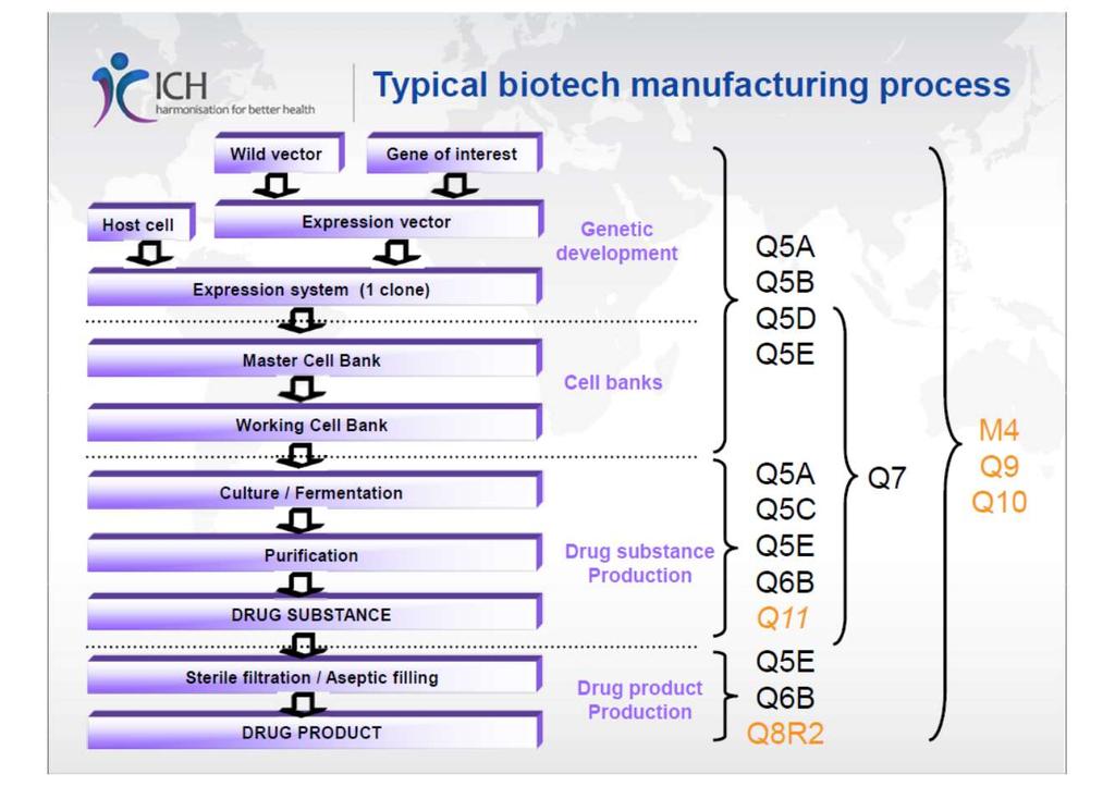 ICH Q5 Biotech Quality Viral Safety Expression construct Cell substrates