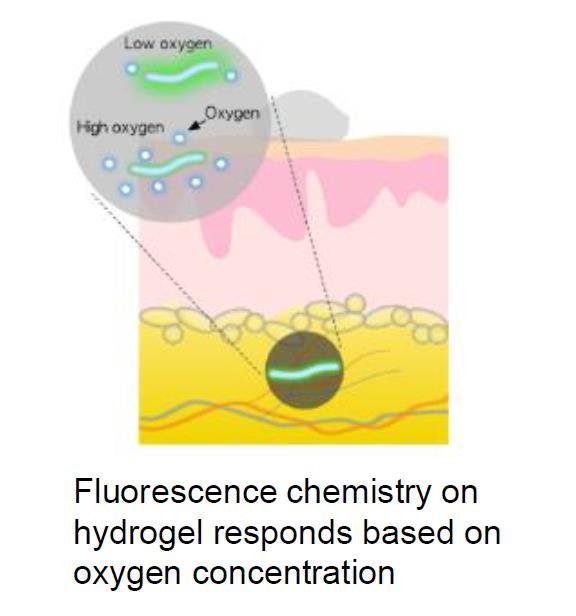 metalloporphyrins LED LOI is a unitless measure of