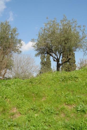 πεοιξυή αουαιξλξγικξύ εμδιατέοξμςξπ, υώοξπ