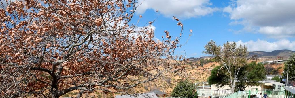 Διαμόρφωση χώρου κηπευτικής απασχόλησης των παιδιών με κατασκευή σύγχρονου θερμοκηπίου, ερμάρια υπαίθριας φύτευσης, πέργκολα αναψυχής και υπαίθριας διδασκαλίας σε συνεργασία πάλι με το Γεωπονικό
