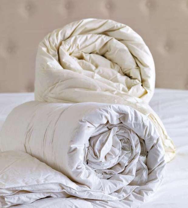 filling 5% duck feather - 95% goose feather,100% cotton percale with aloe vera,244 TC,ivory,white,11,5 tog