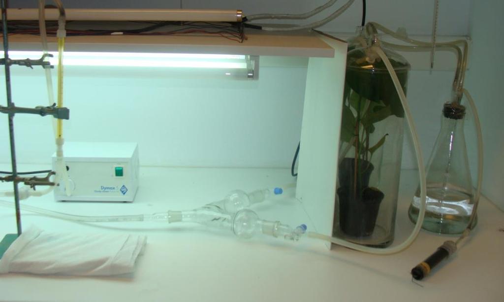 169 Εικόνα 2.3.6. Διάταξη Y-tube olfactometer Εικόνα 2.