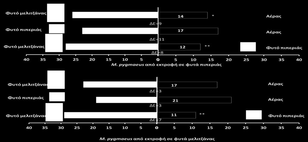 εκτροφή σε φυτά πιπεριάς ή μελιτζάνας παρουσία ωών Ephestia kuehniella μεταξύ φυτών πιπεριάς