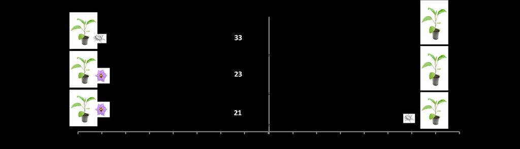 Διάγραμμα 2. 3.3. Απόκριση νυμφών 5 ης ηλικίας M.
