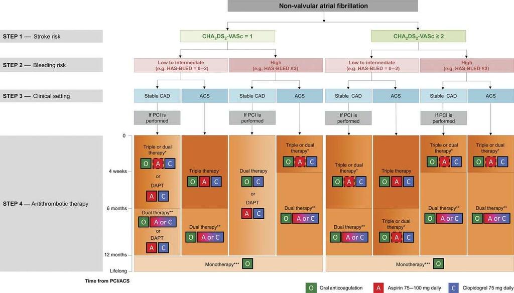 Choice of antithrombotic therapy, including combination strategies of oral anticoagulation (O), aspirin (A) and/or clopidogrel (C). Task Force Members et al.
