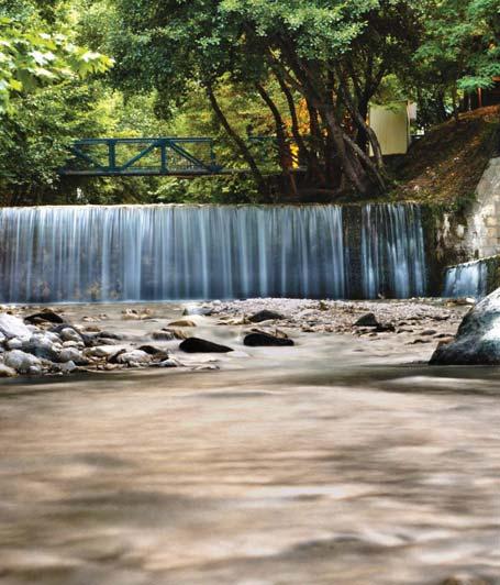 (χωρίς εκδρομές) με ημιδιατροφή από μπουφέ / σερβιριστό ΡΕΒΕΓΙΟΝ με μουσική