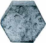 0011 3 15,57.0012 4 56,56 Τάπα Θηλυκή 08.66.0003 ½ 1,27.