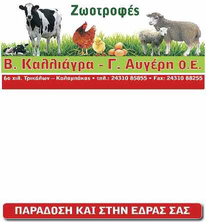 6 σελίδα ΠΕΜΠΤΗ 30 ΙΑΝΟΥΑΡΙΟΥ 2020 τοπικά Άφησαν για λίγο τις σκοτούρες της στολής