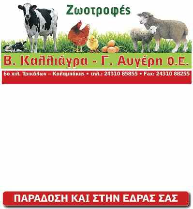 10 σελίδα ΤΡΙΤΗ 17 ΔΕΚΕΜΒΡΙΟΥ 2019 τοπικά Το Δημαρχείο επισκέφθηκε λίγο μετά τις 10 το πρωί ο Υφυπουργός Εσωτερικών κ. Λιβάνιος Θεόδωρος.