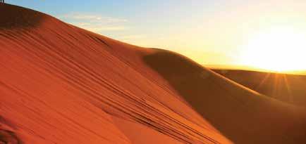 TOUR FES - MEDINA FES - TANNERIES 4η ημέρα: DADES - SAHARA DESERT - CAMEL RIDE - SANDBOARDING ΒΕΔΟΥΊΝΙΚΗ ΒΡΑΔΙΑ Νωρίς το πρωί, οδεύουμε προς τη Merzouga και την έρημο Σαχάρα!