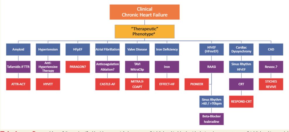 The therapeutic phenotype of chronic heart