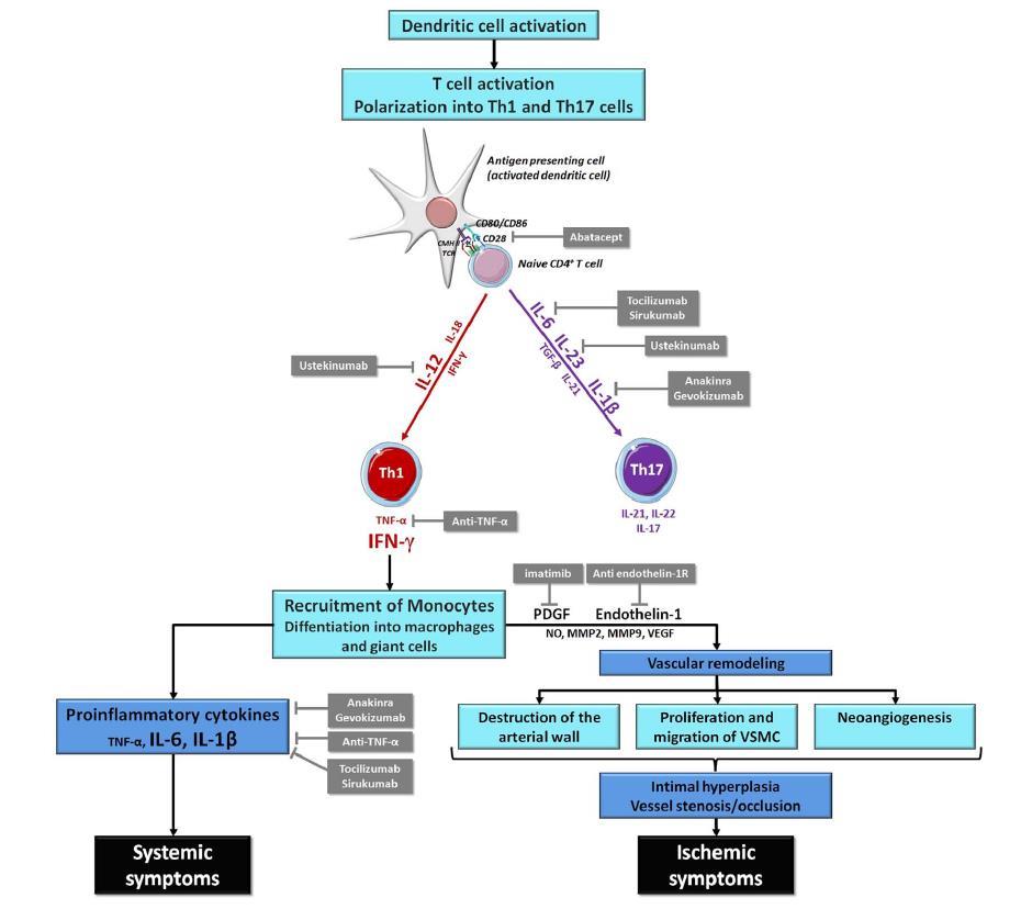 Mechanism based θεραπευτικοί στόχοι