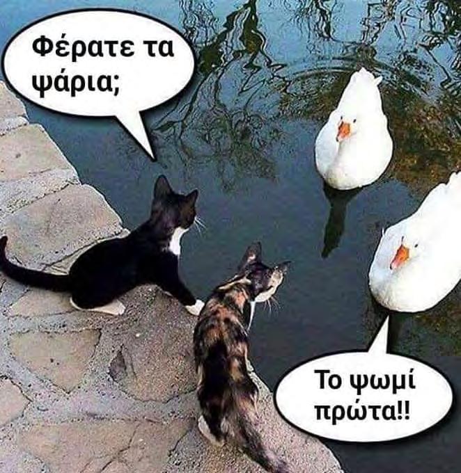 Όσα έδωσε και η Λεβερκούζεν για να πάρει τον Ρέτσο. P- Τι γλυκό είναι αυτό; - Εργολάβος! - Και γιατί είναι στα μαύρα; - Είναι εργολάβος κηδειών!