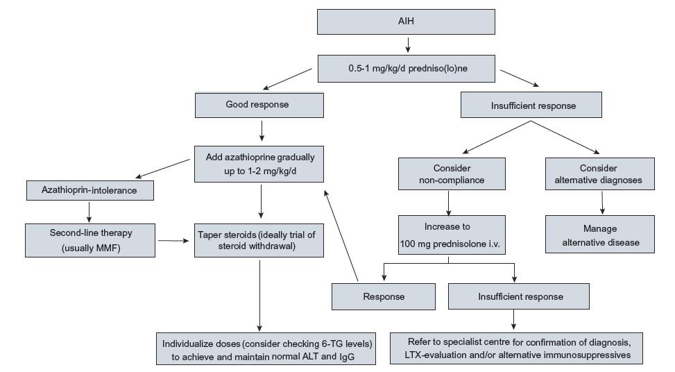 Autoimmune Hepatitis EASL Guidelines 2015 MMF ως εναλλακτική