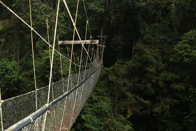 Με την άφιξή μας θα μεταβούμε στο ξενοδοχείο, το οποίο βρίσκεται μέσα στο Εθνικό Πάρκο Γκουνούνγκ Μούλου, δηλαδή μέσα στο Δάσος της Βροχής, το οποίο είναι ηλικίας 60 εκατομμυρίων ετών!