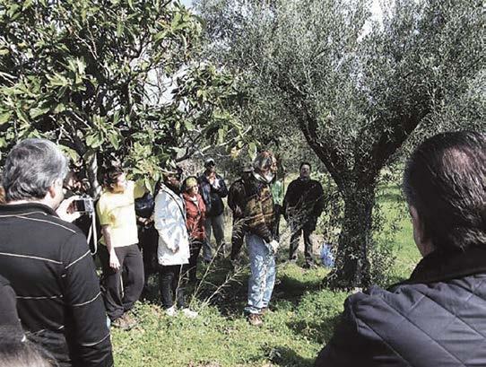 ασθένειες των φυτών και ψάχνουμε τρόπο να τις καταπολεμήσουμε, όταν ο Ιπποκράτης 2.