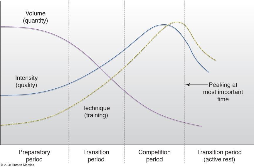 Figure 19.