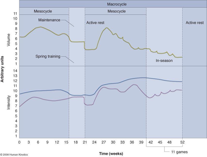 Figure 19.