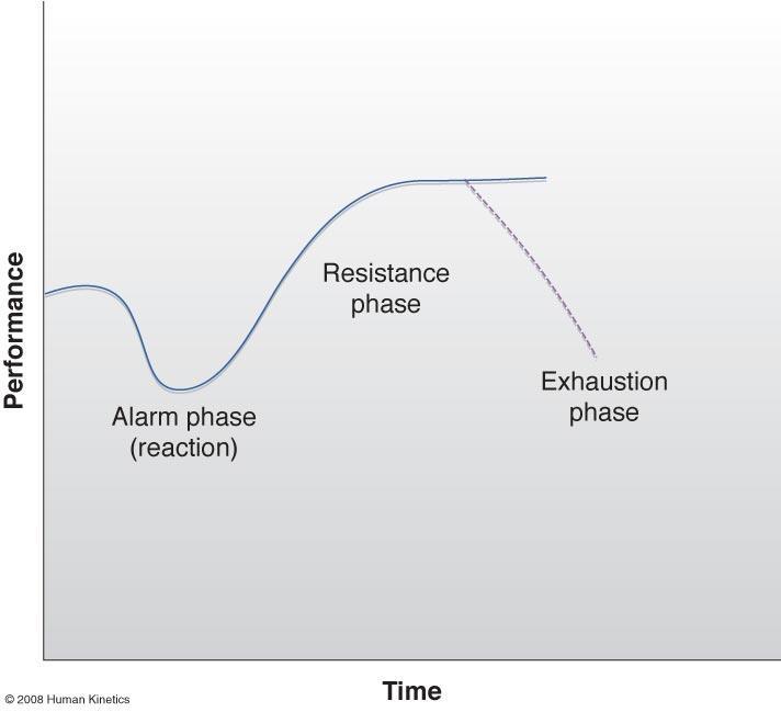 Figure 19.