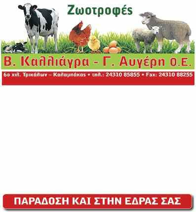 επιτρέψει στην κ. Ελενα Κουντουρά, τον κ. Παναγιώτη Κουρουμπλή και τον κ.