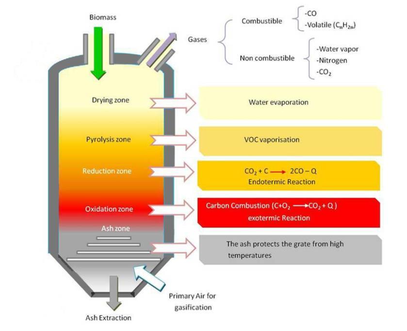 μέσα στον αεριοποιητή περνά από τις τέσσερεις ζώνες που προαναφέρθηκαν. Στην πρώτη ζώνη της κλίνης, η βιομάζα ξηραίνεται από το ρεύμα των ανερχόμενων καυτών αερίων και απελευθερώνει την υγρασία της.