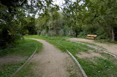 Κεφάλαιο 3ο Λειτουργικότητα και χρησιμότητα για τους κατοίκους α) Ανάπλαση όλων των εισόδων, επιδιόρθωση και συμπλήρωση της περίφραξης, δημιουργία ενός νέου δικτύου φωτισμού με φωτιστικά παραδοσιακά
