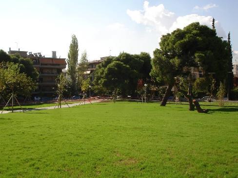 Κεφάλαιο 1ο Συγκράτηση εδαφών. Οι διάφοροι τύποι βλάστησης με μεγάλες ρίζες έχουν τη δυνατότητα να συγκρατούν τα εδάφη και να τα κρατούν συνεκτικά.