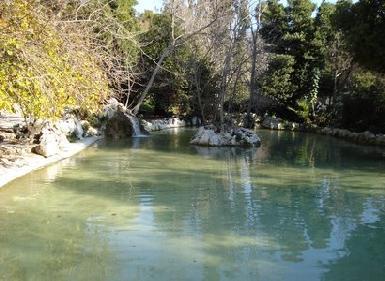 Πλεονέκτημα των επιφα- νειών νερού είναι και το γεγονός ότι μπορούν να λειτουργήσουν με νερό πολύ χαμηλής ποιότητας το οποίο μπορεί να ανακυκλώνεται.