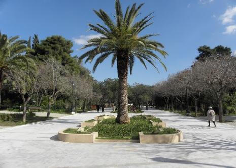 Κεφάλαιο 3ο ενώ φυτεύονται άνω των 40 ειδών εποχιακά ανθόφυτα. Το 99% του συνόλου των φυτών είναι αυτοφυή ενώ ο σχεδιασμός του πάρκου προβλέπει την αραιή φύτευση του για την αποφυγή πυρκαγιάς.
