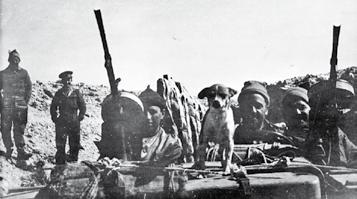 Αντ. Στεφανάκη. Αποτελούνταν από μία διμοιρία Διοικήσεως, τρεις διμοιρίες Πολυβόλων, συγκρότημα Αντιαρματικών Πυροβόλων 6 λιβρών, υγειονομικό και ανεφοδιαστικό τμήμα.