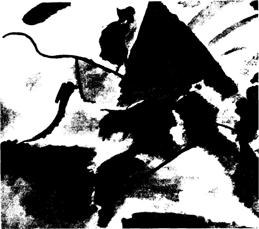 Wassily K andinsky