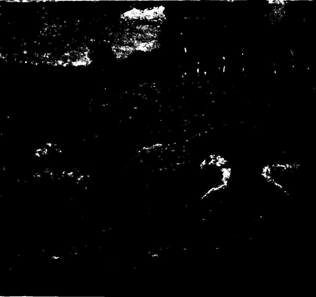 1902. Ό