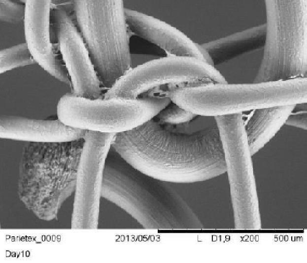 PET/PLA WCA 75 PP WCA 90 Υδρόφιλη Υδροφόβη Βασισμένα σε
