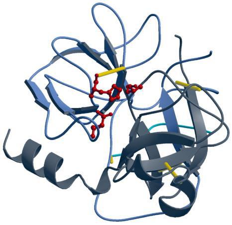 active-site amino acid residues Ser195, His57,