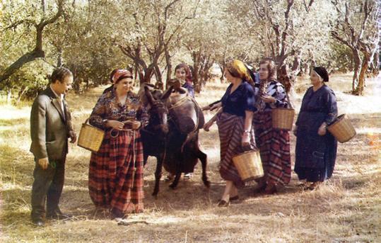 56 Εικ. 6. Επιστροφή από τα λιοχώραφα. Φωτ. Ν. Αντωνακάτου 1982, Λαογραφική Συλλογή Στρατή Τζίνη, Αγιάσος.