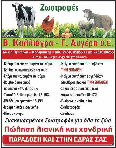 Τα Τρίκαλα προσπαθούν να τερματίσουν όσο πιο ψηλά γίνεται προκειμένου να έχουν προβάδισμα έδρας στα play aout και δείχνουν με τις εμφανίσεις των τελευταίων αγωνιστικών πως μπορούν να πετύχουν το