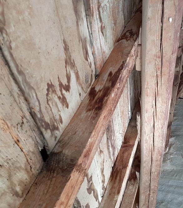 Συγκεκριμένα παρατηρούμε πως η ξυλεία που αποτελεί τον φέροντα οργανισμός της στέγης έχει διαβρωθεί από την υγρασία που εισέρχεται μέσα στους πόρους κατά την «αναπνοή» του ξύλου, είτε από το
