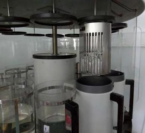 Διάλυμα αιματοξυλίνης 5 έως 15 min