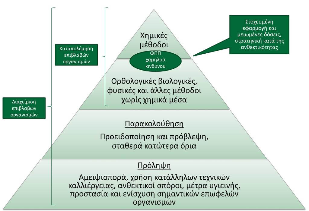 Εικόνα 2.1. Αρχές ολοκληρωμένης φυτοπροστασίας 2.3.1. Μέτρα Πρόληψης Με τον όρο της πρόληψης εννοούνται τα καλλιεργητικά μέτρα που λαμβάνονται με σκοπό την μείωση του πληθυσμού του εχθρού. 2.3.1.1. Αμειψισπορά Ο όρος της αμειψισποράς αφορά την εναλλαγή των καλλιεργειών όταν αφορά μονοετή καλλιέργεια.