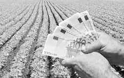 τοπικά ΤΡΙΤΗ 29 ΙΟΥΝΙΟΥ 2021 σελίδα 5 Στην Πηνειάδα συνεχίζονται εργασίες αποκατάστασης αγροτικών δρόμων Πληρωμές ενισχύσεων θα πραγματοποιήσει ο ΟΠΕΚΕΠΕ τις επόμενες ημέρες, εκτός απροόπτου,